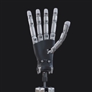 WUJI HAND 灵巧手