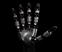 WUJI HAND2 灵巧手